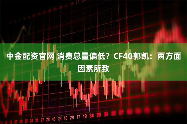 中金配资官网 消费总量偏低？CF40郭凯：两方面因素所致